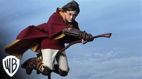 The Magical Creatures of Hogwarts: A Legacy of Fascinating Beings